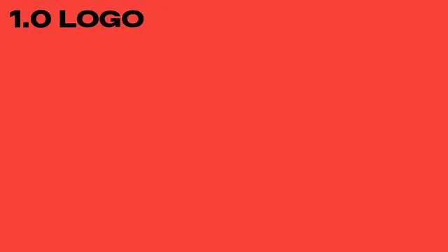 Section divider 1.0 Logo