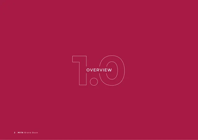 Section divider 1.0 Overview, minimal, technical, warm