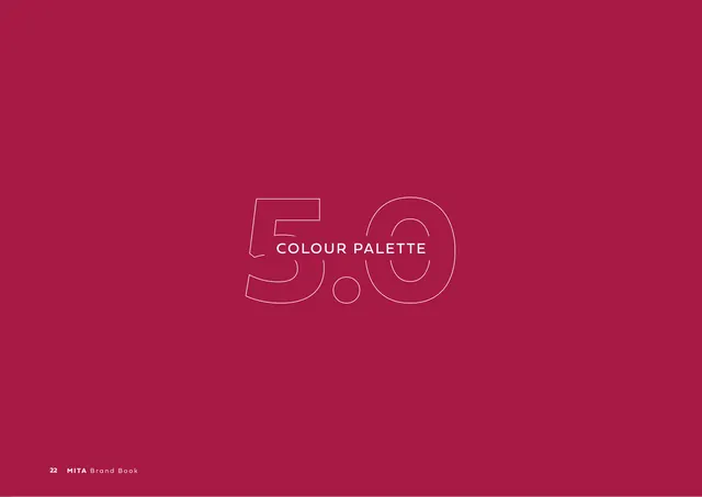 Section divider 5.0 Colour Palette, minimal, technical, warm