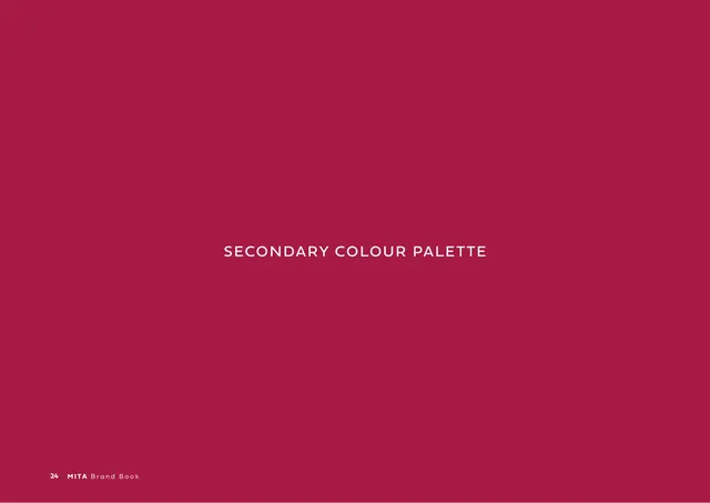 Sub-divider Secondary Colour Palette, minimal, editorial, warm