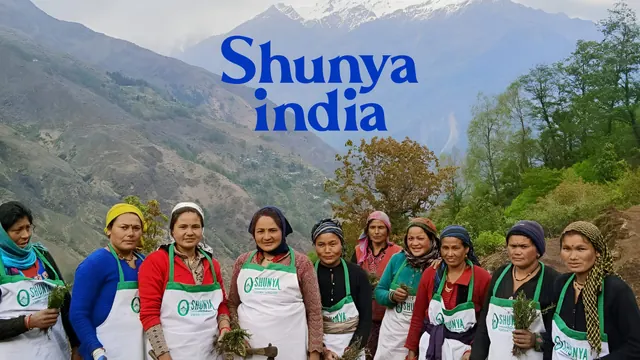 Shunya India harvester group divider