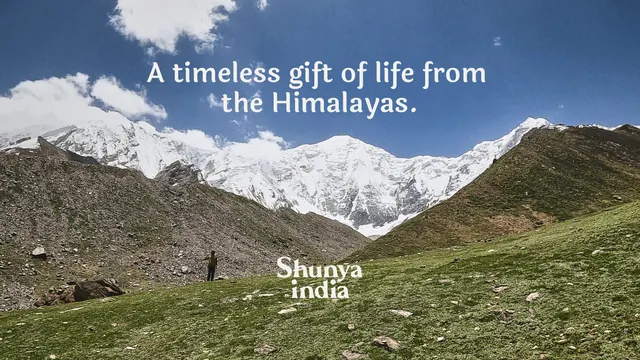Shunya India Himalayan tagline photo