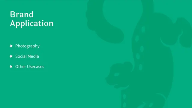 Shunya India brand application section divider