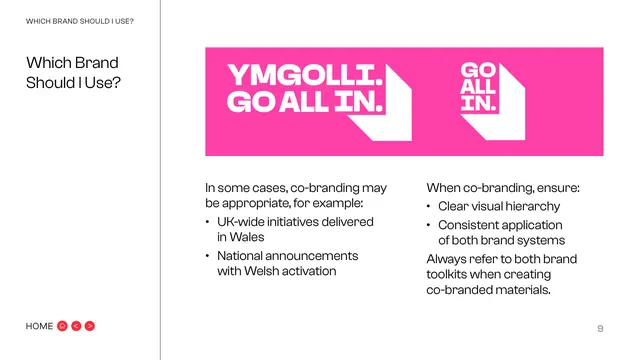 Which Brand Should I Use, co-branding
