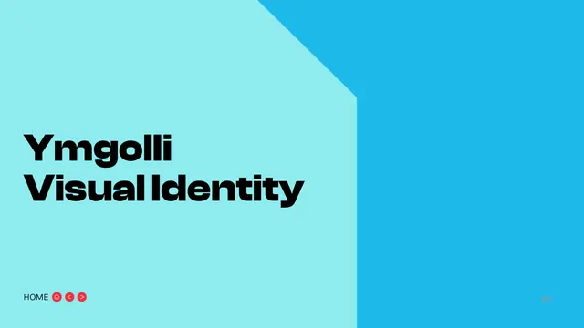 Ymgolli Visual Identity section divider, minimal, swiss, vibrant