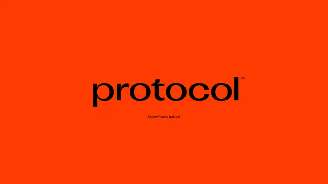 Protocol café brand identity, minimal, corporate-clean, vibrant