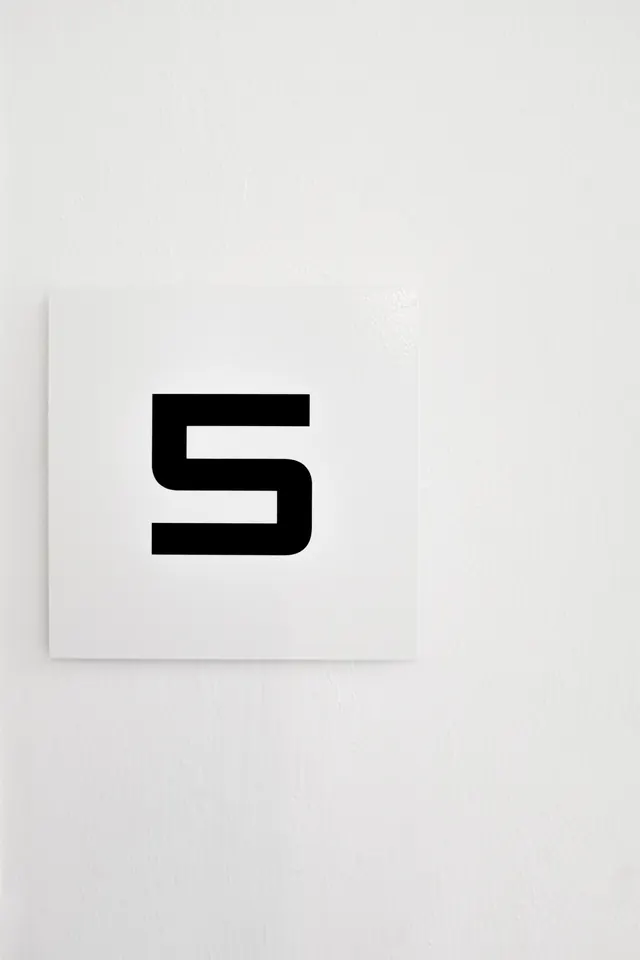 Minimalist S Logo
