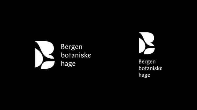 Leaf-form B monogram for a botanical garden, minimal, geometric, dark