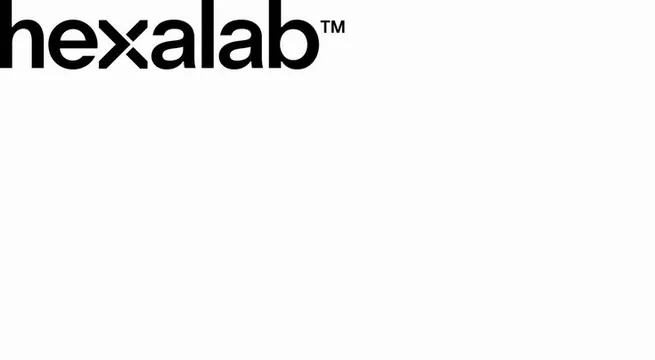 hexalab lowercase wordmark with cut-corner x, minimal, corporate-clean, monochrome