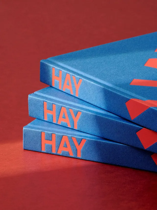 HAY books stacked, blue cloth and red type, minimal, geometric, vibrant