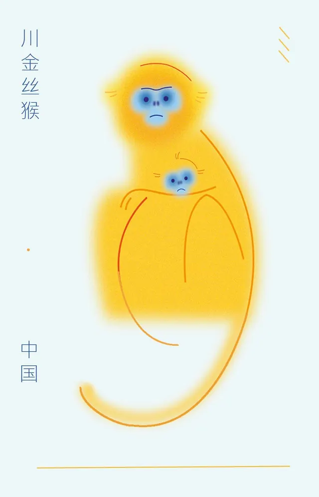 Golden snub-nosed monkey soft illustration, minimal, illustrated, warm