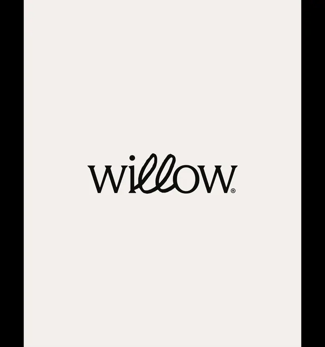 Willow handwritten-script wordmark, minimal, organic, light