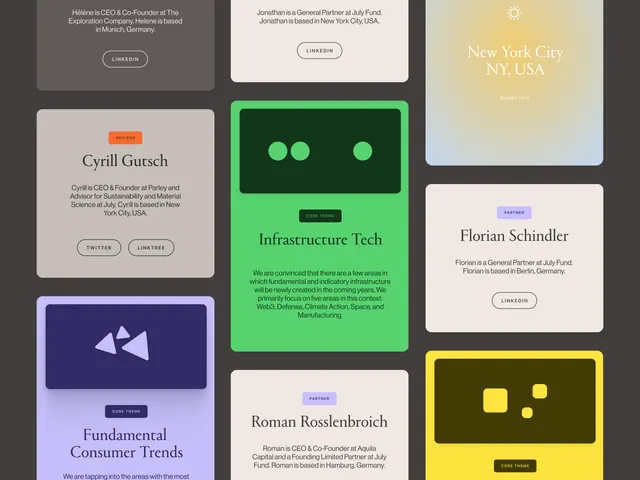 Team-profile bento grid with color-blocked bio cards, minimal, geometric, muted