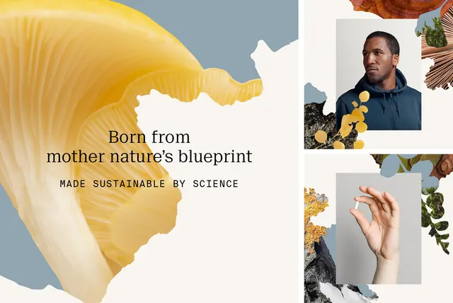 Landkind nature-meets-science brand layout, organic, minimal, earthy