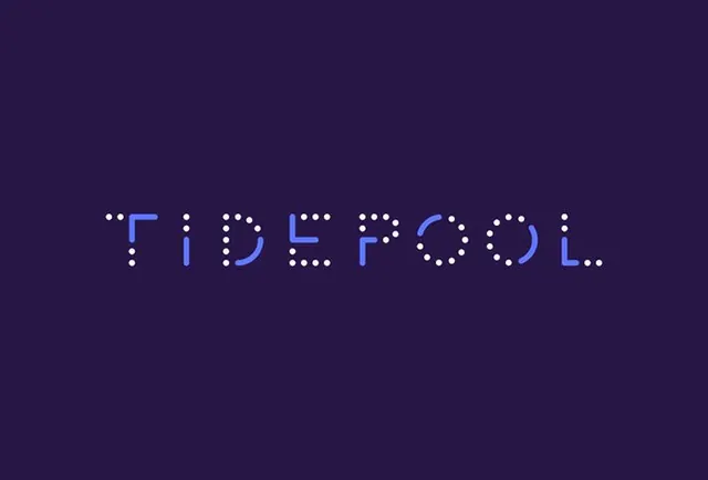 Tidepool Wordmark, minimal, technical, dark