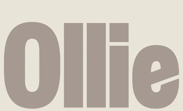 Ollie heavy grotesque wordmark in taupe, minimal, swiss, light