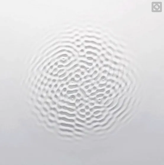 Embossed concentric ripple in white-on-white relief, organic, minimal, light