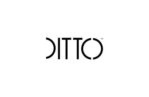 DITTO geometric wordmark, geometric, minimal, monochrome