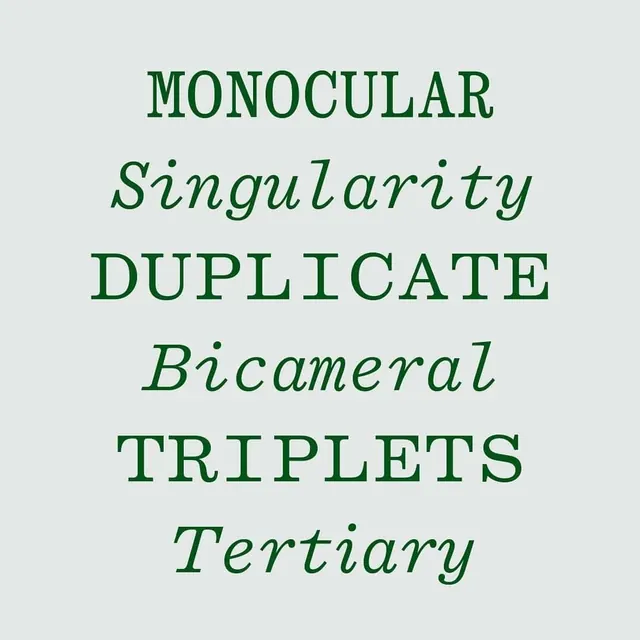 Green serif type specimen alternating caps and italics, minimal, editorial, muted