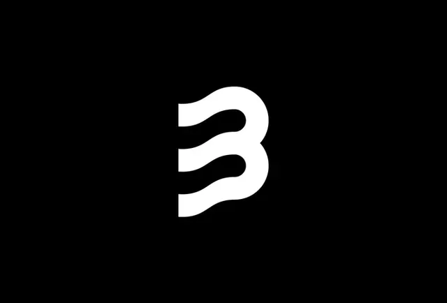 Stylized B Logo