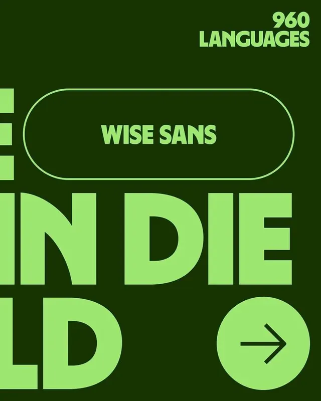 Wise Sans type specimen with cropped letterforms and pill label, geometric, flat, dark