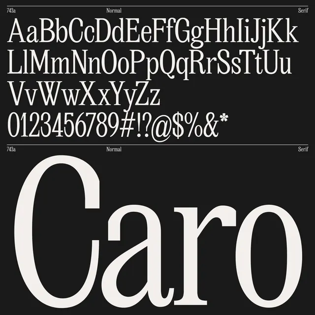 Caro serif type specimen, minimal, dark