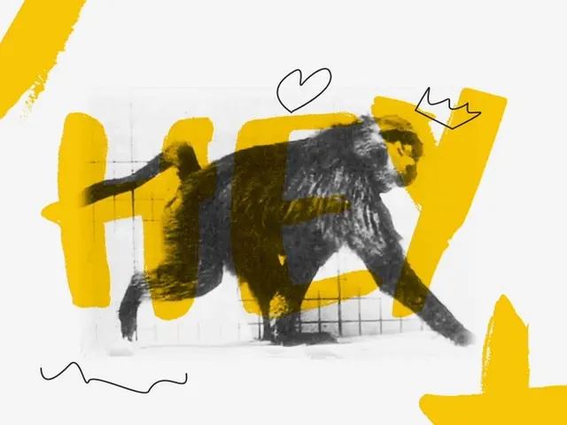 Expressive gestural illustration with bold graphic overlay, abstract, illustrated, warm