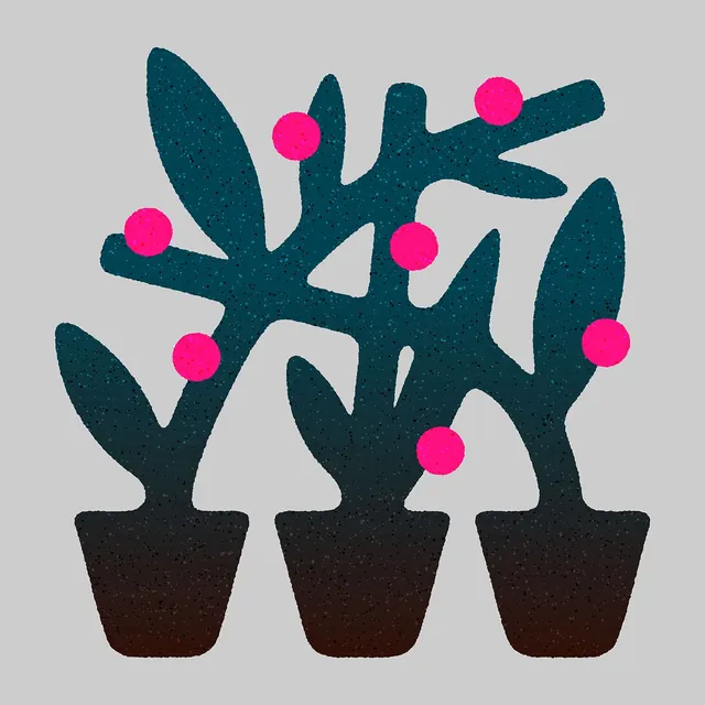 Three-cactus botanical mark with neon accents, flat, minimal, cool