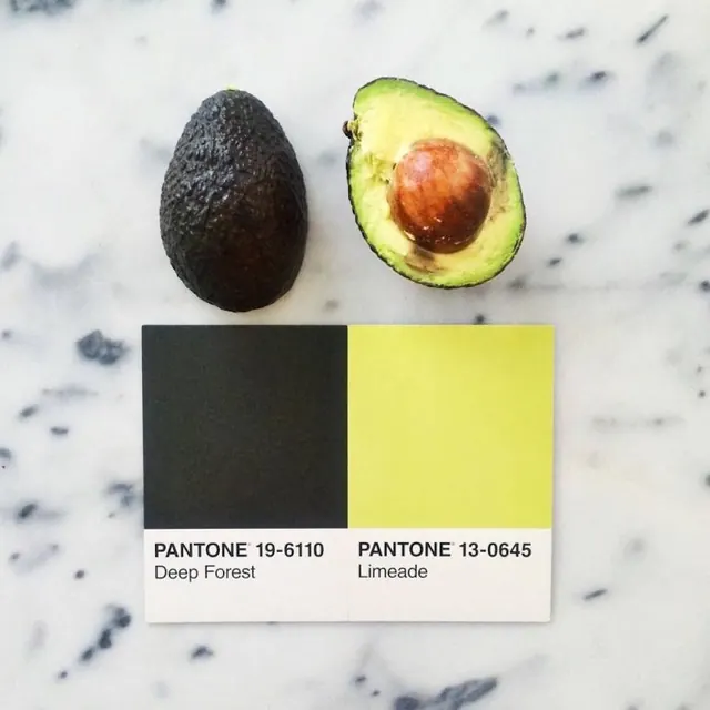 Avocado Color Palette Reference