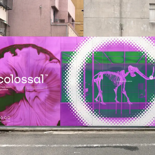 Colossal mural, flower and skeleton with halftone dots, line-art, illustrated, vibrant