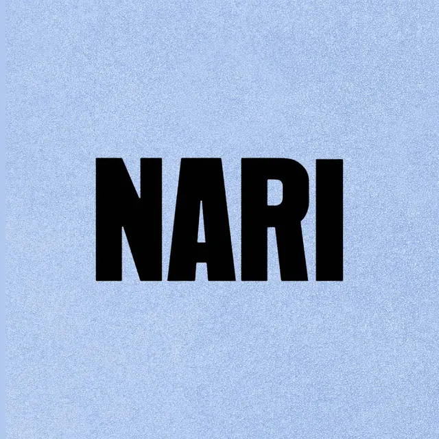 NARI wordmark on blue speckle, minimal, corporate-clean, cool