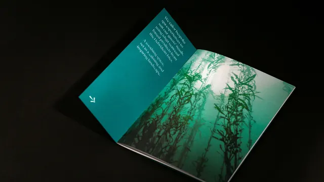 Teal editorial spread with underwater kelp imagery, minimal, organic, cool