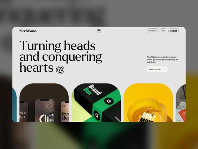 NiceAtNoon Studio Landing Page, minimal, organic, light