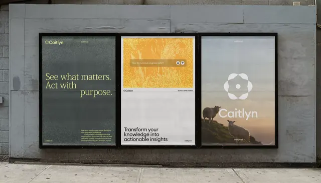 Caitlyn triptych billboard campaign, minimal, corporate-clean, dark