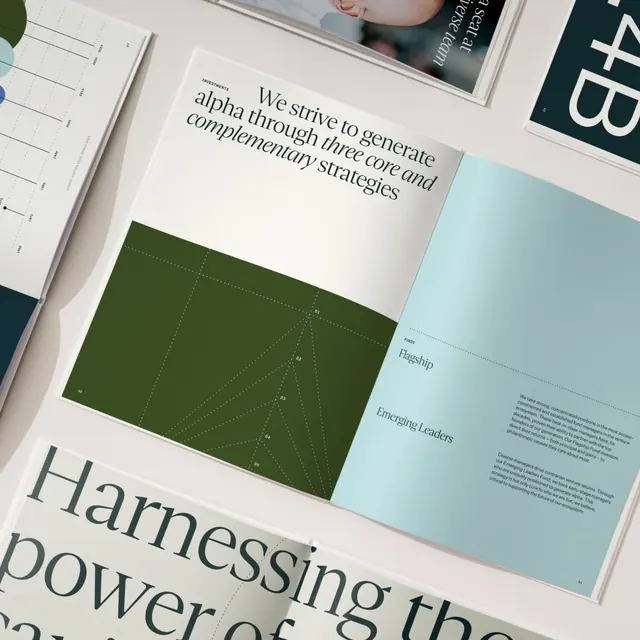 Investment firm brand identity with strategy diagram, editorial, geometric, cool