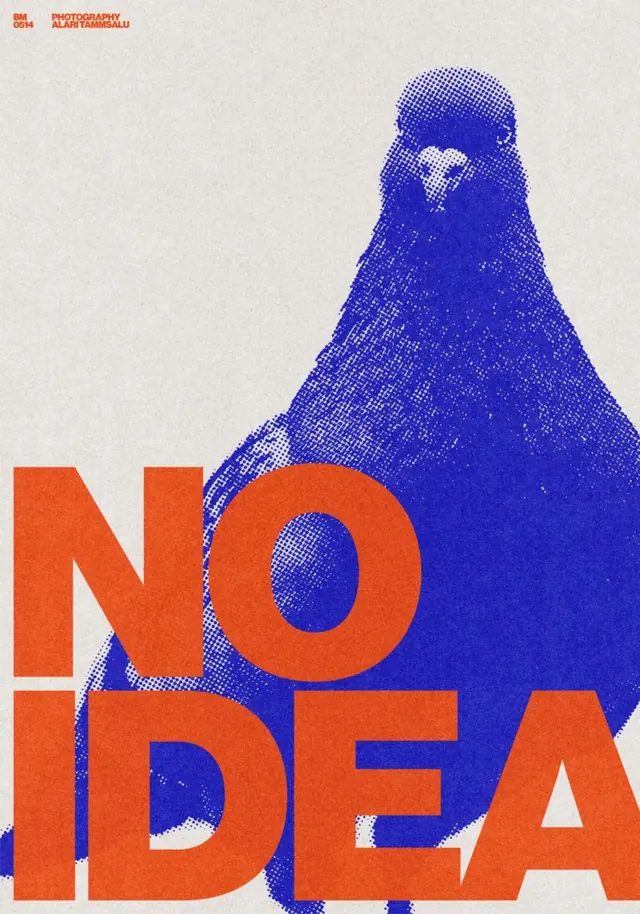 NO IDEA photography poster with halftone portrait, geometric, high-contrast