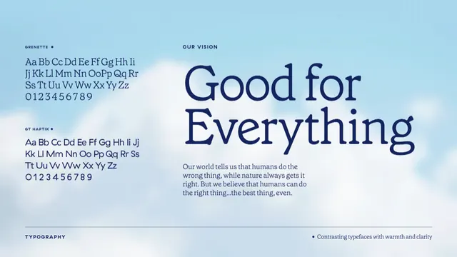 Good for Everything type specimen with dual-column layout, minimal, corporate-clean, cool