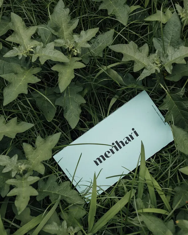 Pale card in dense ivy and foliage, organic, minimal, light