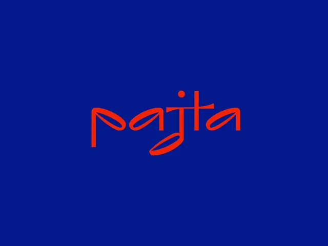 Paytia outline wordmark logo, minimal, vibrant