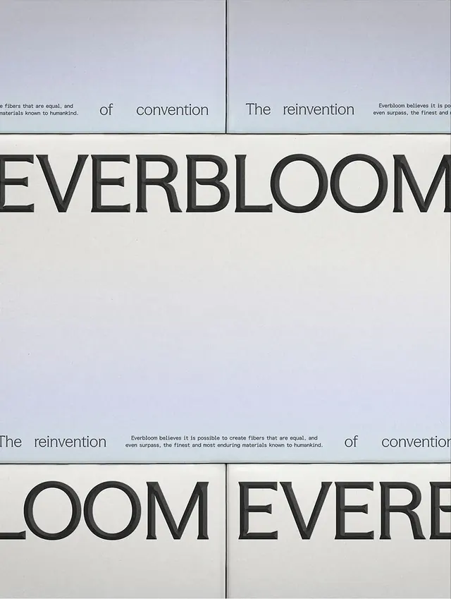 Everbloom fragmented type specimen grid, minimal, geometric, light