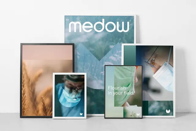 Medow brand gallery mockup, minimal, organic, light