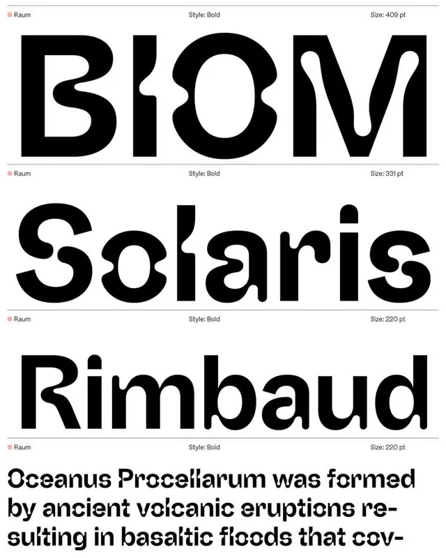 Raum Bold type specimen sheet, minimal, swiss, monochrome