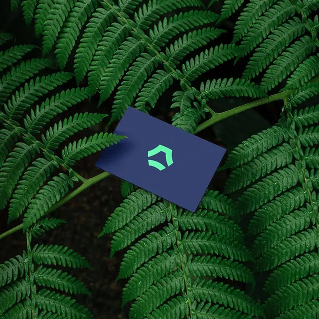 Navy business card on fern botanical backdrop, minimal, organic, dark