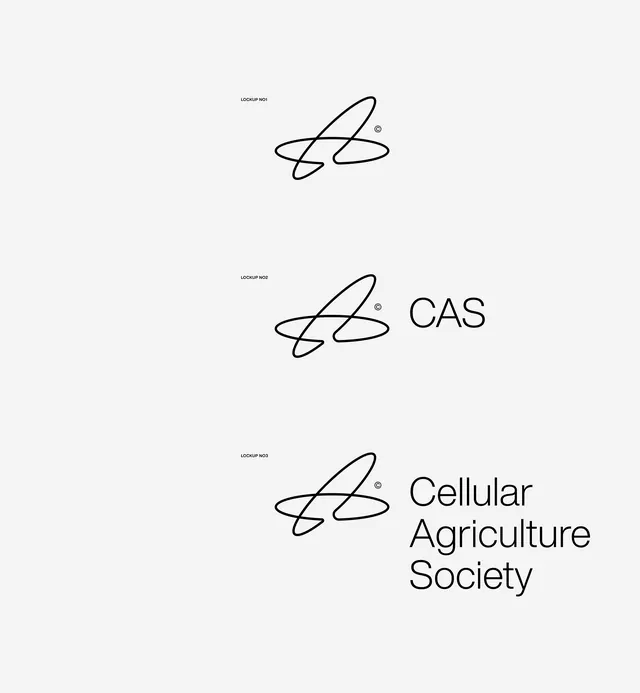 Minimal swiss identity system, minimal, swiss, light