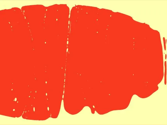Red textured abstract form illustration, abstract, organic, vibrant