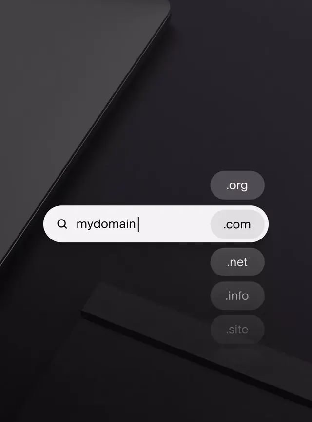 Domain search UI dark interface, minimal, dark-mode, dark