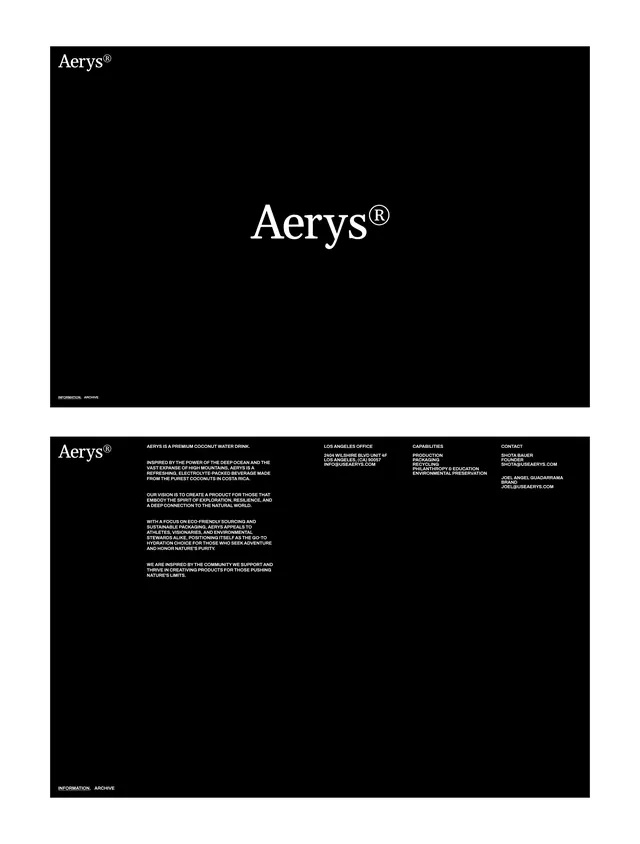Aerys wordmark and brand guidelines system, minimal, corporate-clean, dark
