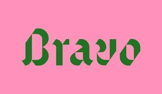 Bravo organic serif wordmark, minimal, organic, vibrant