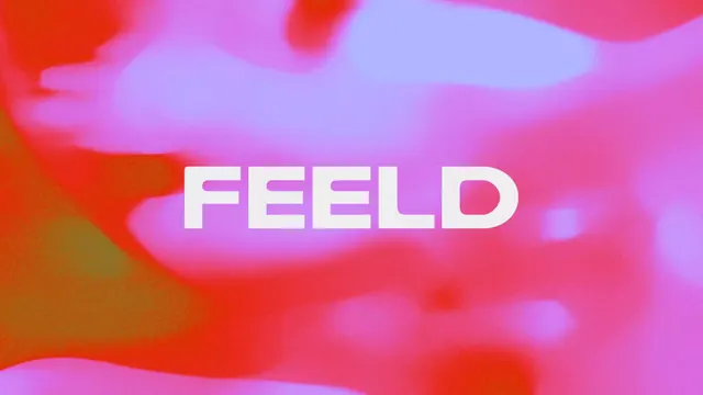 FEELD gradient wordmark, gradient-heavy, abstract, warm