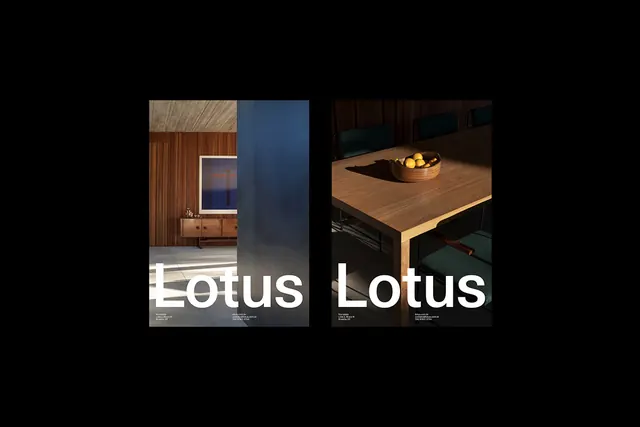 Lotus interior brand posters, minimal, editorial, warm